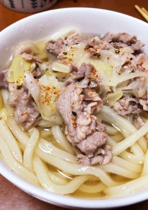 あっさり☆豚肉とねぎのうどん-レシピのメイン写真