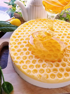 ハニーレモンムースケーキ-レシピのメイン写真
