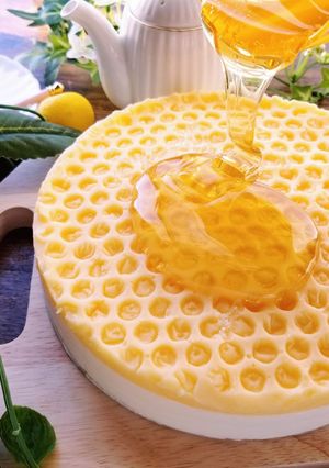ハニーレモンムースケーキ-レシピのメイン写真