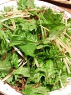 水菜としらすのサラダ-レシピのメイン写真