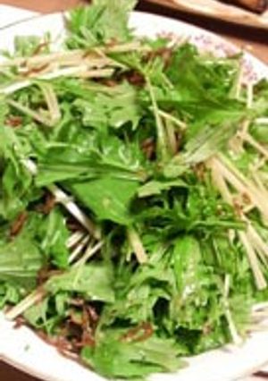 水菜としらすのサラダ-レシピのメイン写真