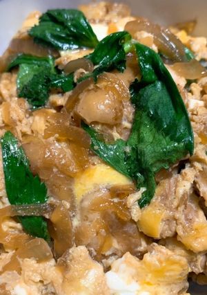 絶品☆ふわふわ卵の親子丼-レシピのメイン写真