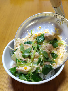 親子丼 -レシピのメイン写真