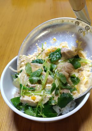 親子丼 -レシピのメイン写真