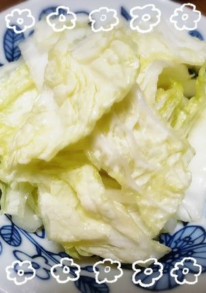 低カロリー絶品おつまみ☆白菜の浅漬け-レシピのメイン写真