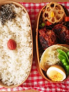 お弁当★袋に全て入れて★煮込みハンバーグ-レシピのメイン写真