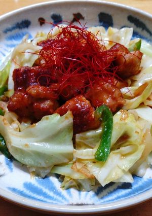 鳥もも肉と野菜の味噌炒め◎鶏ちゃん風-レシピのメイン写真