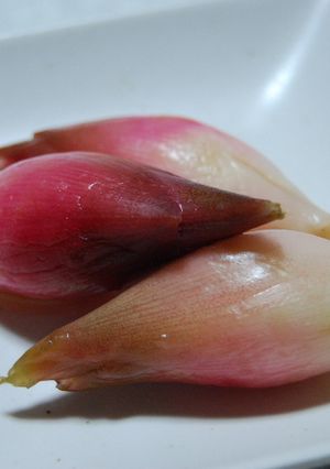 レンジで作るミョウガの簡単浅漬け-レシピのメイン写真