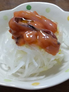 シャキシャキ大根に塩辛のっけサラダ-レシピのメイン写真