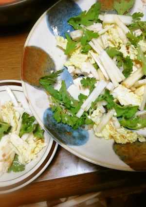 大根と春菊と白菜のミスサラダ風-レシピのメイン写真