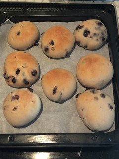 お正月の黒豆の残りでモチモチ丸パン-レシピのメイン写真
