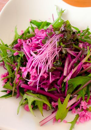 パープルサラダ　レモンクリームソース添え-レシピのメイン写真
