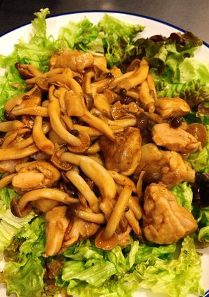 鶏肉のケチャップソテー炒め-レシピのメイン写真