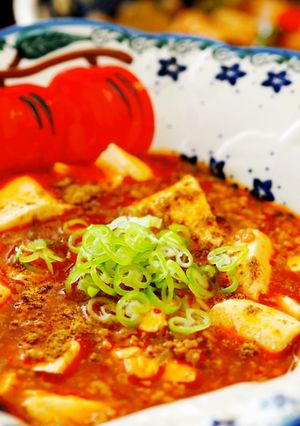鶏がらスープ不要♡本格！四川風麻婆豆腐-レシピのメイン写真