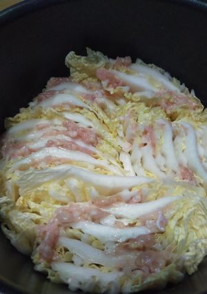 電気圧力鍋で!鶏ミンチミルフィーユ鍋-レシピのメイン写真