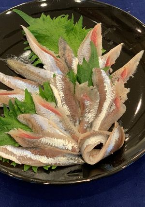 イワシの酢〆-レシピのメイン写真