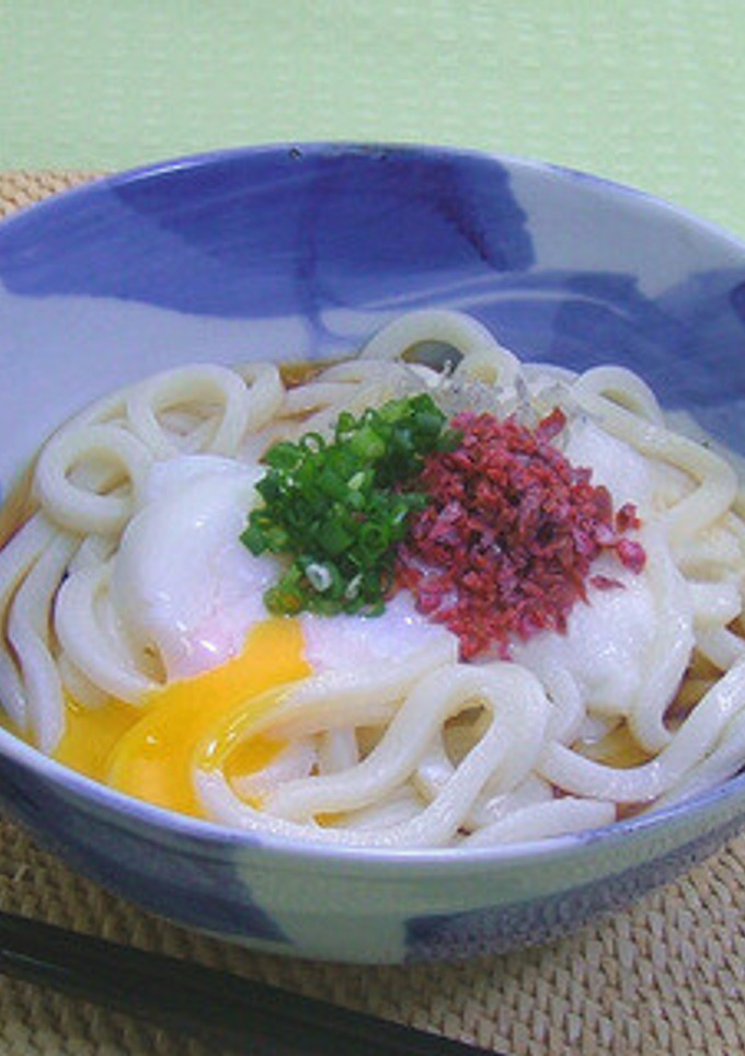 梅と卵のとろとろうどん-レシピのメイン写真