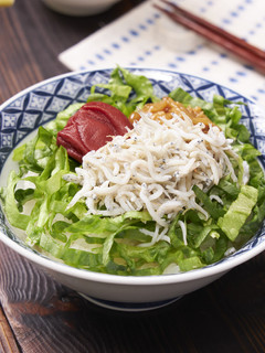 包丁いらず!しらすのっけ丼-レシピのメイン写真