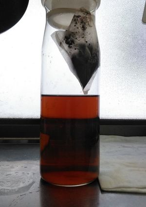 水出し麦茶-レシピのメイン写真