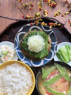 和風おろしハンバーグ-レシピのメイン写真