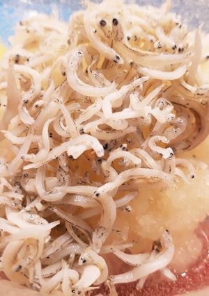 簡単★副菜★大根の皮ごと！しらすおろし-レシピのメイン写真