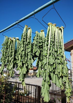 干葉(ヒバ) 千葉県お雑煮用ふりかけ-レシピのメイン写真