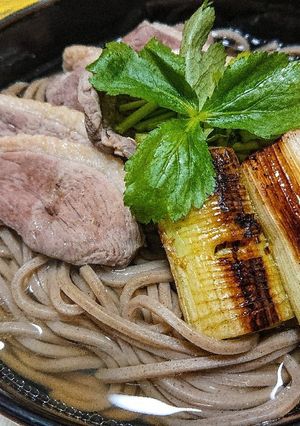 意外と簡単！年越しそばに白だし鴨南蛮そば-レシピのメイン写真
