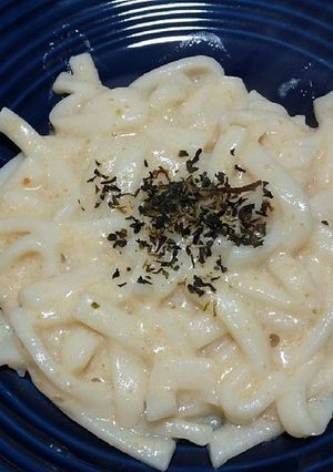 犬ご飯 たいのクリームうどん-レシピのメイン写真