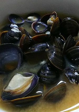 しじみの味噌汁-レシピのメイン写真