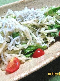 大根と水菜のぴりっとサラダ-レシピのメイン写真