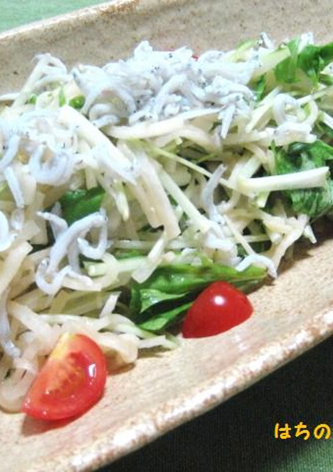 大根と水菜のぴりっとサラダ-レシピのメイン写真