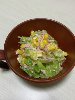 キャベつなサラダ-レシピのメイン写真