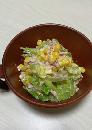 キャベつなサラダ-レシピのメイン写真