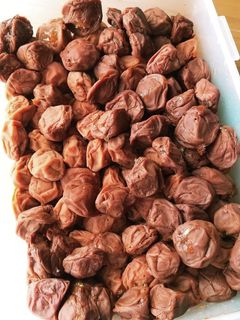 保存食レシピ☆梅干♪-レシピのメイン写真