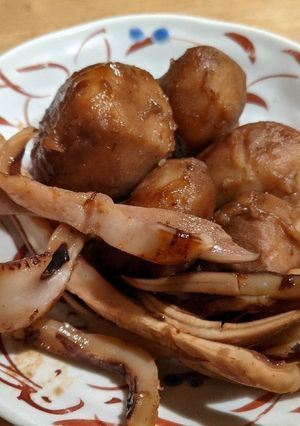 イカと里芋の煮っころがし-レシピのメイン写真