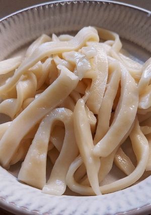 ちょっと食べたい時のうどん(麺のみ)-レシピのメイン写真