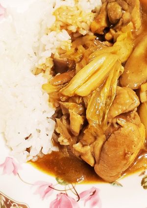 アムウェイのお鍋で鶏肉、白菜ごぼうカレー-レシピのメイン写真