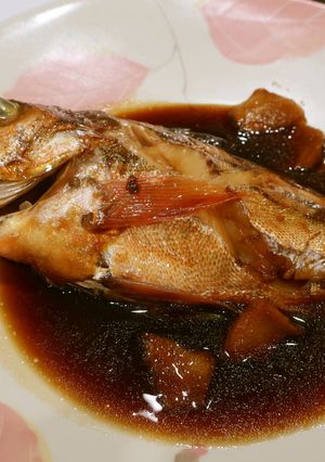 メバルの煮つけ-レシピのメイン写真