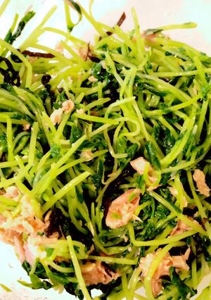 豆苗の塩昆布和え-レシピのメイン写真