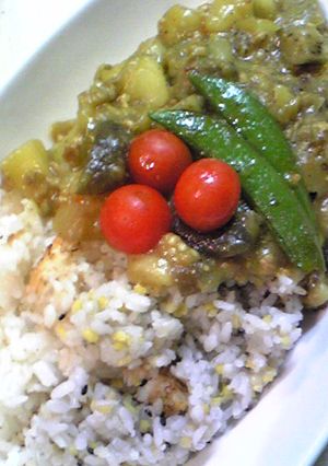 塩そぼろで！ナスのコロコロカレー麻婆ｗ-レシピのメイン写真
