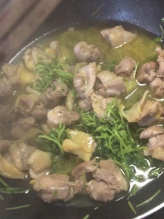親鶏と豆苗の塩コショウ炒め-レシピのメイン写真