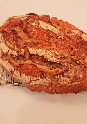 小麦サワー種で田舎パン-レシピのメイン写真