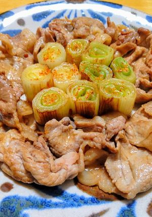 豚こま肉と長ネギ（輪切り）の炒め煮-レシピのメイン写真