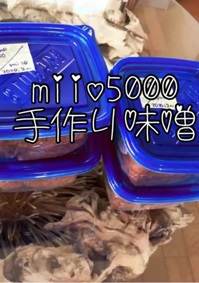 手作り味噌 白味噌 絶品 乾燥大豆 生麹-レシピのメイン写真