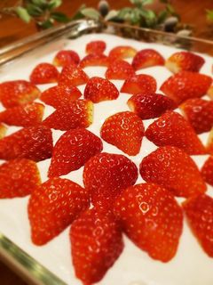 簡単!イチゴのヨーグルトケーキ-レシピのメイン写真