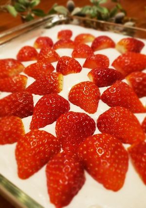 簡単！イチゴのヨーグルトケーキ-レシピのメイン写真