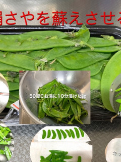 野菜を蘇させる 絹さや-レシピのメイン写真