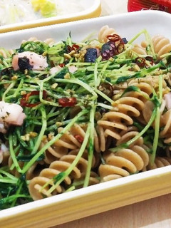 タコと豆苗のペペロンチーノ-レシピのメイン写真