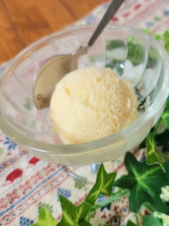 簡単濃厚♪チョコorホワイトチョコアイス-レシピのメイン写真
