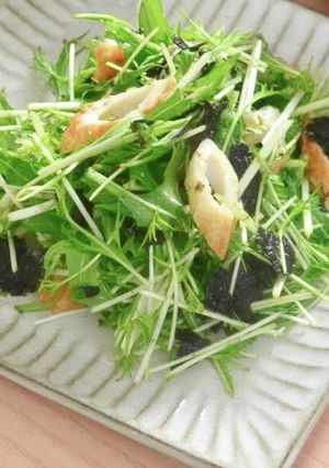 まるで居酒屋！水菜の海苔わさびサラダ-レシピのメイン写真